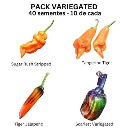 Pack Streifen 4 Sorten: Sugar Rush, Tangerine, Jalapeño und Scarlett
