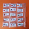 Kit 16 Variedades de Chiles - 160 Semillas