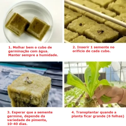 100 Cubos de lã de rocha com 2,5 x 2,5 x 2,5 cm, divididos em 2 blocos de 50 Cubos cada.