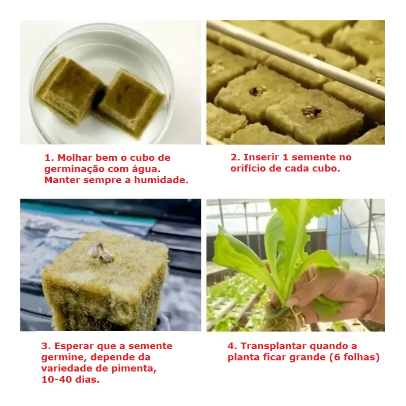 100 Cubos de lã de rocha com 2,5 x 2,5 x 2,5 cm, divididos em 2 blocos de 50 Cubos cada.