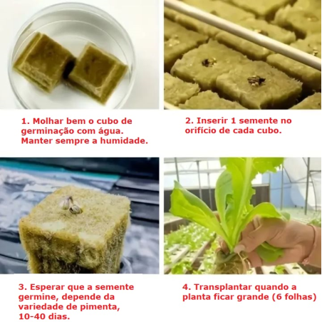 100 Cubos de lã de rocha com 2,5 x 2,5 x 2,5 cm, divididos em 2 blocos de 50 Cubos cada.