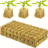 100x Rockwool Germination Cubes 2.5x2.5x2.5cm