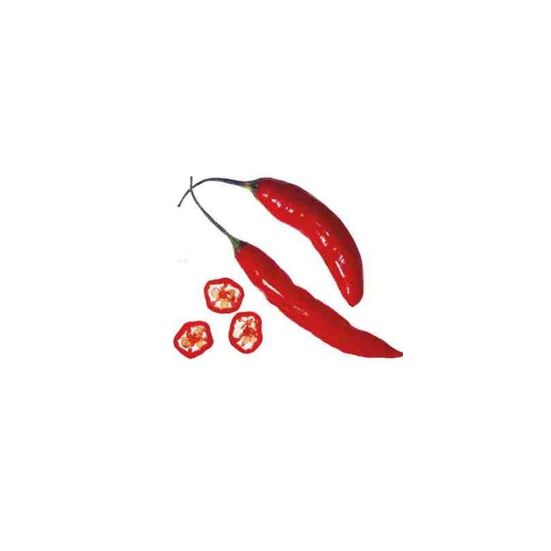 Graines de Piment Malagueta Portugais - 10 Graines