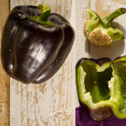 Pimento Negro 10 sementes