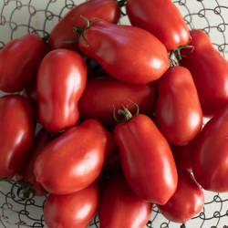 Tomate San Marzano : Le Roi de la Sauce Italienne