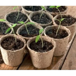 12 macetas pequeñas de cultivo 6 cm