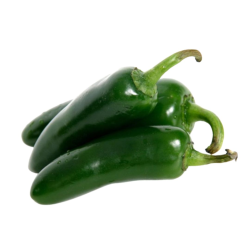 Dorset Naga 10 semillas