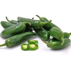 Dorset Naga 10 seeds