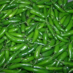 Serrano chilin siemenet - 10 kpl | Meksikon vuoristochili