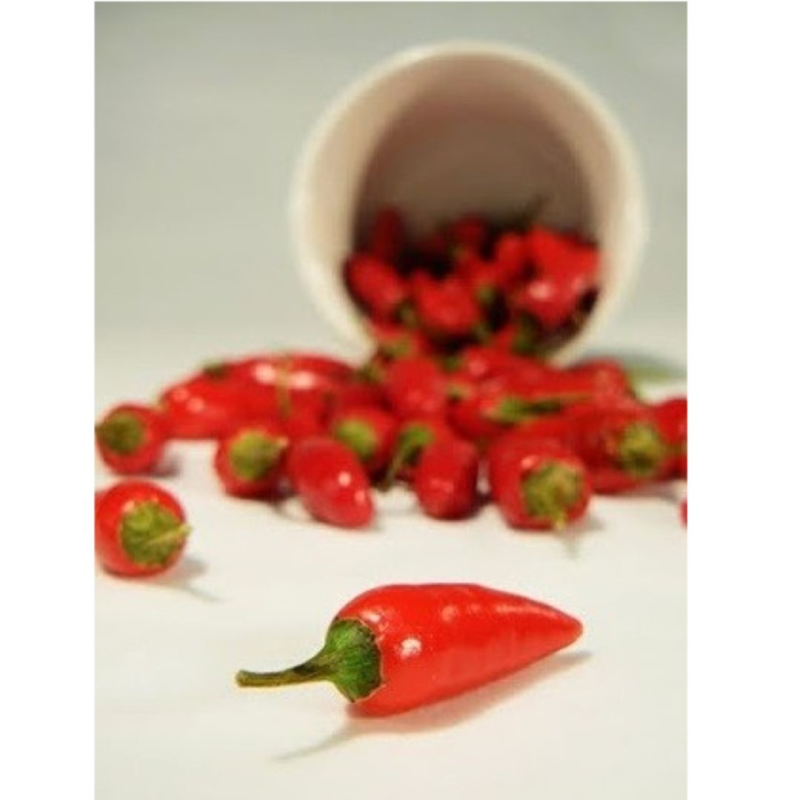 Jindungo Seeds - 10 Seeds | African Piri-Piri Heat
