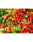 Kaufen Sie hier Chili-Samen-Kits, super scharfe Chili-Kits und mehr