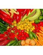 Su Picantes.pt trovi la vera origine del fuoco: semi di peperoncino da coltivare a casa